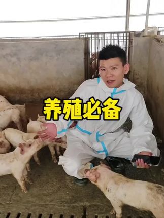 养猪户注意啦!【猪大师推荐】诸利停饲料添加剂来咯。这可是畜牧养殖实用的好物,虽新老包装随机发货,但品质不变。能为猪只健康成长助力,在养殖过程中合理使用,有助于提升养殖效益,有需要的养猪户别错过。#养猪人 #所有养猪人 #科学养猪 #畜牧养殖 #养猪人加油干
