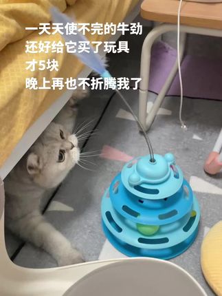 #猫玩具 #逗猫神器 #猫的迷惑行为 #喵星人日常 #记录猫咪日常