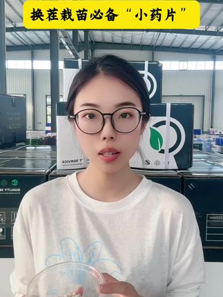 #一蔬一丸 #移栽片 蓟马蚜虫白粉虱抗性重打不住,栽苗提前放上好使!#防虫小妙招