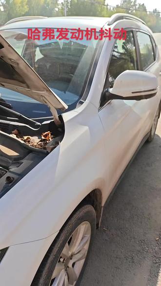 哈弗H2发动机抖动加速无力