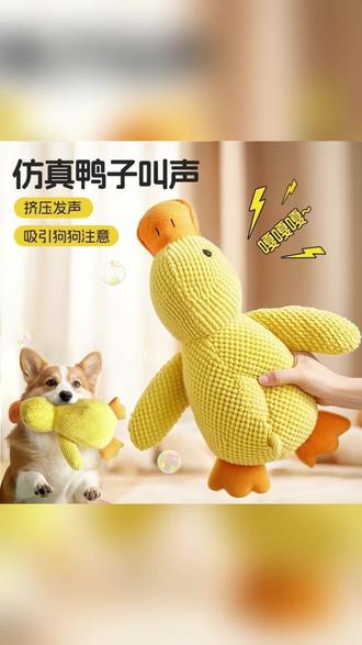 狗狗玩具自嗨发声磨牙耐咬宠物解闷神器 #宠物玩具 #狗狗解闷 #耐咬玩具 #发声玩具 #宠物用品
