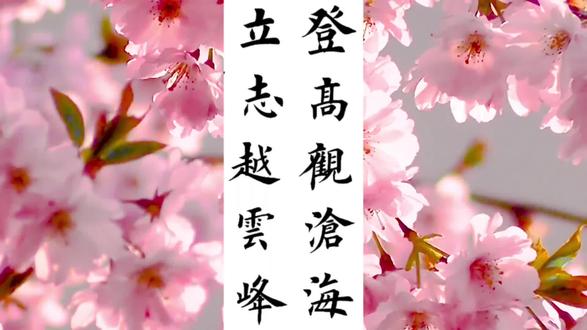 楷书书法作品:登高观沧海, 立志越云峰。
制作:正永