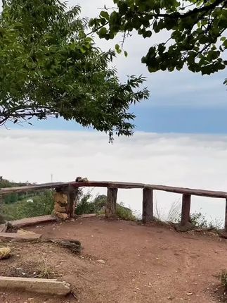 倘若秋风知我意,可否许我再少年……#秋风微凉