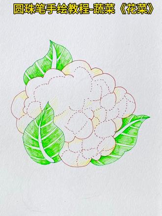 圆珠笔手绘教程-15花菜 #想画就画 #绘画过程分享 #新安县木头画室 #因为热爱所以坚持