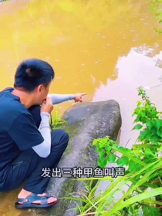 #户外钓鱼 #分享生活小技巧 #我的乡村生活 '#钓鱼人的日常 p