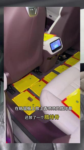 小米车里面进来个老鼠?真的是老鼠爱大米了!停车一定要打开内循环!视频附带停车自动打开内循环超级任务,一定要看完!#小米超级任务 #小米YU7 #小米SU7 #小米汽车 #我和我的小米汽车