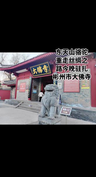 #古丝绸之路 #彬州大佛寺#长武昭仁寺 昭仁寺#东天山骆驼 #侍郎湖
西汉时期公元前139年,陕西汉中市城固县人张骞叫,从长安即今天的西安出使西域,经过两次出使西域连接中亚,西亚开创丝绸之路起点;
东汉时期陕西扶风人班超,从东汉的神都即现在的洛阳出发延深丝绸之路,并扩大贸易走廊,也就出现了谁是丝绸之路起点之争。