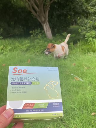 狗狗日常养护软骨素真的是不可或缺,这款Sae趁着有活动可以给家里的毛孩子带回去#宠物用品 #狗狗 #软骨素