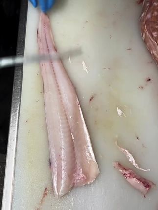 #刺身美食 #海鲜水产