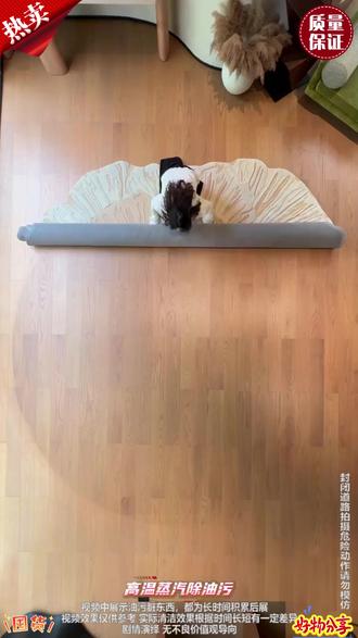 挑战用蒸汽清洁机洗‘发霉’的油烟机!结果竟然把我看呆了… #智能家居 #蒸汽清洁机 #全屋大扫除