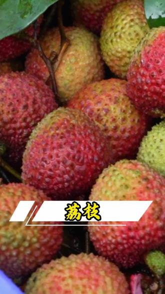 荔枝的季节你品尝了吗,喜欢吃什么口味的呢 #妃子笑荔枝 #新鲜采摘 #海南荔枝 #首横市场