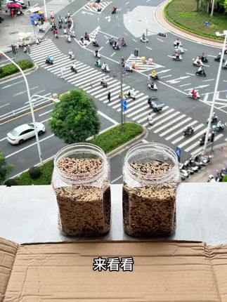 #上热门 #七色五常糙米#营养丰富健康选择#五谷杂粮 #五谷养生