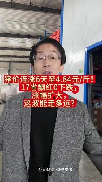 猪价连涨6天!#生猪价格趋势深度分析 #猪价行情 #猪周期 #每日猪价 #畜牧养殖