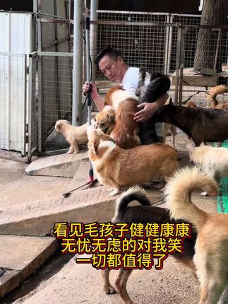 #毛孩子的日常