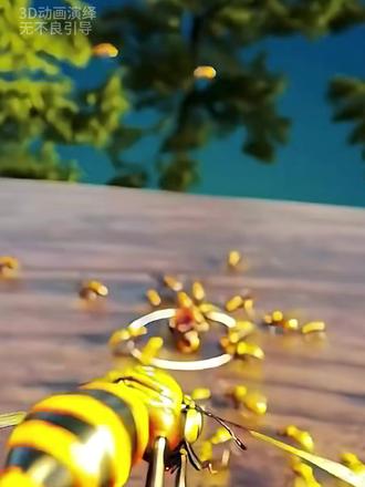 蜂王是如何产生的 #科普 #涨知识 #蜂王 #蜜蜂