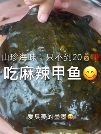 来吃麻辣甲鱼来🤗#麻辣甲鱼 #妈呀太香了 #萌宝小吃货