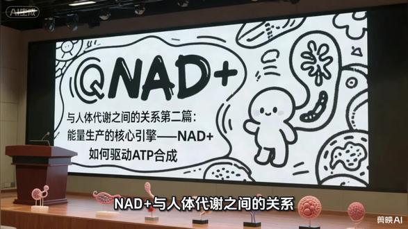NAD+与人体代谢之间的关系之第二篇:能量生产的“核心引擎”——NAD+如何驱动ATP合成
#延缓衰老的方法 #创作者中心 #创作灵感 #NAD #代谢