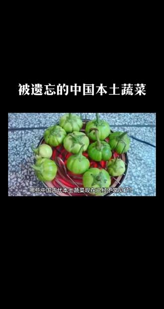 哪些中国古代本土蔬菜现在已经不常见了? 哪些中国古代本土蔬菜现在已经不常见了?
随着时间的推移和农业文化的变迁,一些中国本土的蔬菜确实可能逐渐被人们遗忘。在历史的长河中,中国原产的蔬菜种类虽然不多,但每一种都承载着丰富的文化与食用传统。例如,《诗经》中提到的葵(可能是冬葵),在古代是非常重要的蔬菜,但现在已不如以前普遍。其他如葑(大头菜)、秋葵等,虽然在古代有其地位,但现代餐桌上已不那么常见。
一些本土蔬菜因为栽培技术的进步、外来蔬菜的引入以及饮食习惯的变化而逐渐边缘化。例如,茭白、茨菇(慈菇)、菱角、黄花菜、荠菜、芦蒿等,虽然在特定地区或季节仍然被栽培和食用,但它们的普及度和认知度可能不如过去。此外,随着城市化进程和快节奏生活,一些需要特定料理方式或生长环境的本土蔬菜可能更少被年轻一代所知。
值得注意的是,尽管部分本土蔬菜可能不如以前那样广为人知,但随着对传统饮食文化的复兴和健康饮食观念的提升,一些古老蔬菜正重新受到关注。比如,近年来,人们对野菜和传统蔬菜的兴趣增加,一些地方开始重新种植和推广这些几乎被遗忘的蔬菜,以保持生物多样性和饮食文化的传承。
因此,具体有多少本土蔬菜被遗忘难以量化,但可以肯定的是,通过各种途径的努力,一些传统蔬菜正在被重新发现和重视。以下是一些例子:
1. 葵菜。在古代极为重要,几乎全年可种植食用,但随着其他蔬菜的引进和栽培技术的发展,葵菜逐渐被其他叶类蔬菜所取代。
2. 葑(大头菜)。古代的一种蔬菜,现在较少见,可能因为口感或栽培难度而不再流行。
3. 藿。大豆的嫩叶,在《诗经》时代是重要蔬菜,但现代饮食中已很少使用。
4. 菰米。菰的种子,古代作为粮食,现在主要利用其感染真菌后形成的茭白,菰米则几乎绝迹。
5. 茨菇(慈菇)。虽然在特定地区仍有栽培,但相比其他水生蔬菜,茨菇的普及度较低。
6. 黄花菜。虽然在某些地方仍然受欢迎,但在现代快节奏生活中,因其需要特殊处理以去除毒素,不如其他蔬菜方便食用。
7. 野菜类。如荇菜、芣苢等,这些传统上作为野菜的植物,随着农业现代化和饮食习惯的改变,不再广泛采集和食用。
8. 茱萸。曾经作为调料,但辣椒的引入使其在调味料中的地位大大降低。
#植物科普 #蔬菜种植 #抖音助农 #种菜