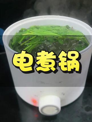 荣事达电煮锅多功能电煮锅 一锅搞定所有美食.家里有个小电锅真的特别方便.学生党必备#好产品一起分享 #小电锅 #视频同款 #炒煮蒸炖一体电锅 #自用好物分享