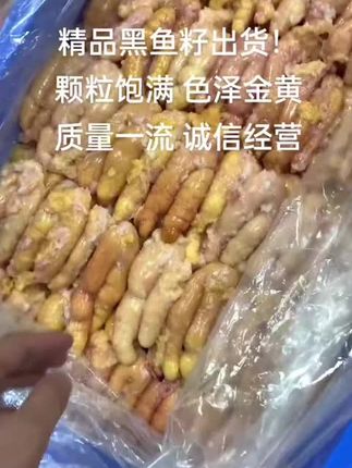 #看过来 #新鲜出炉 #冷冻食品 #精品黑鱼籽#@巨量千川 @DOU+小助手