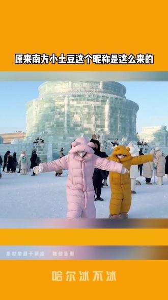 原来南方小土豆是这么来的#哈尔滨 #东北 #南方小土豆 #旅游攻略 #冷知识
