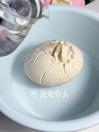 敲一敲挖一挖,挖出一群小恐龙#小盆友玩具 #恐龙玩具 #恐龙蛋玩具 #手工diy