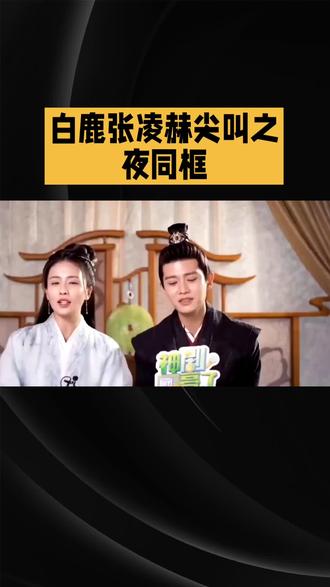 白鹿张凌赫尖叫之夜同框#娱乐#明星