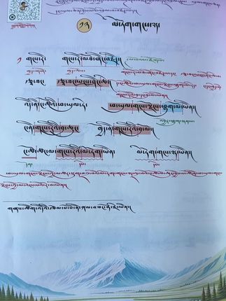 #མེ་ཏོག་གངས་ལྷ།雪莲花#儿歌#今日分享