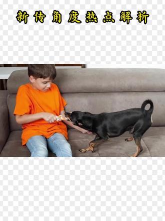 #新闻学 视角阅读近期#狗咬人事件 是否“让笑声代替了思考”:新闻事实被解构、议题娱乐化!#新传考研