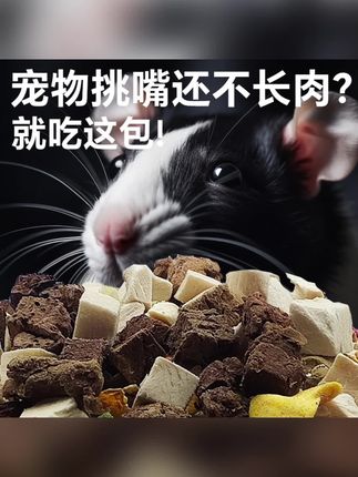【花枝鼠自配粮500g混合主粮马祖瑞土豪粮仓鼠谷物肉类蔬菜营养膨化】#花枝鼠的日常 #花枝鼠 #花枝鼠自配粮 #宠物自配粮 #自配粮