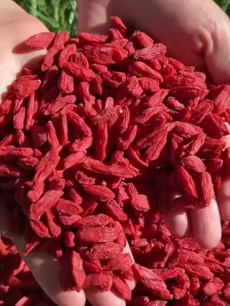 正宗枸杞子宁夏枸杞中宁枸杞子宁夏特级500g大颗粒头茬红枸杞泡水#农产品 #滋补养生食材 #补血养颜 #养颜养生 #特色农产品