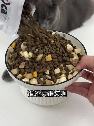 whycat三拼冻干猫粮到手超划算!刷到还有库存赶紧薅!#新手养宠 #科学喂养 #猫粮 #whycat猫粮 #猫粮推荐