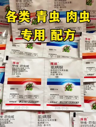 各类青虫肉虫打不住,就用这个配方,虫卵双除 #钻心虫#菜青虫#潜叶蛾#吊丝虫#甜菜夜蛾