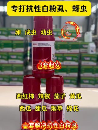 #白粉虱 成虫 幼虫 卵都管用#病虫害防治 一套3桶水,便宜效果好#三农种植 #农业种植技术 @DOU+小助手 @DOU+上热门