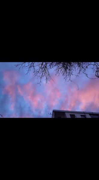 阿尔及利亚日常vlog