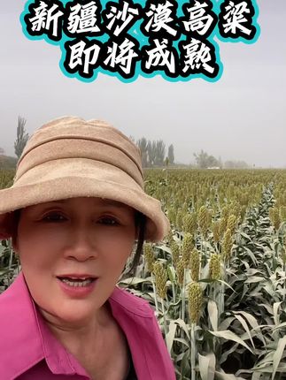塔克拉玛干沙漠已经是物产丰富的塞上江南了#新疆 #新疆沙漠 #三农 #助力三农