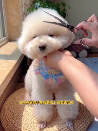 大语文时代,语文考试知识面非常灵活,一定要多帮孩子积累这些百科知识#育儿 #百科知识 #文学常识 #家庭教育