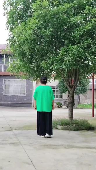 曳步舞《大漠狂沙》#简单易学 #喜欢跳舞的一起来🌹🌹🌹🌹🌹🌹