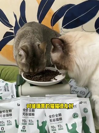 9.9到手十袋独立分装猫粮!高达90%动物性蛋白还是无谷无诱食剂,怪不得我家猫咪爱吃这款#洛帕猫粮 #猫粮推荐 #抖in萌宠计划 #萌宠好物