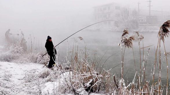 鱼类冬天藏身的4种位置 #原来钓鱼才是抖音运动顶流 #冬钓技巧