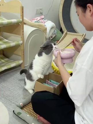 繁鱼有约猫咪软罐头补营养助增肥易喂食高汤肉包成幼猫+鲜肉丝#猫粮 #猫条 #猫咪软罐头