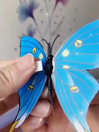 #蝴蝶🦋