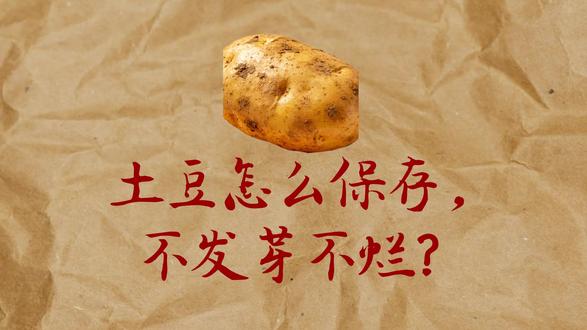 土豆保存绝招, 放半年都新鲜不发芽,再也不浪费!#土豆保存技巧 #不发芽土豆 #家庭储物技巧 #土豆知识 #生活小妙招