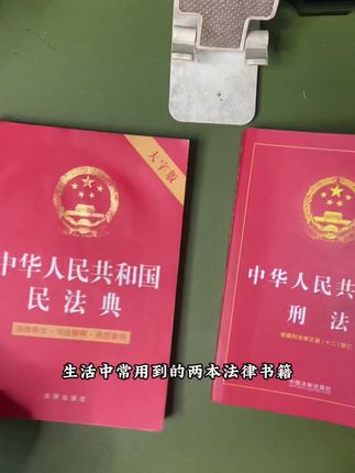 体育老师推荐必属精品!民法典刑法