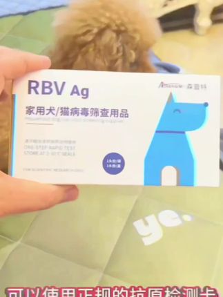 被猫狗抓伤、咬伤需要立刻打疫苗吗?狂犬病的死亡率是百分之百,不要抱着侥幸的心理在家随便处理。首先我们第一时间就是清理伤口,然后用正规的检测卡来确定狗狗是否携带狂犬病毒。#狂犬病