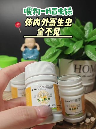 #科学养宠攻略 #养狗经验分享 #养狗人 #萌宠出道计划 #好物推荐🔥