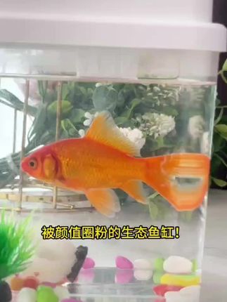 #推荐