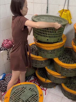 #青蟹 #源头好货