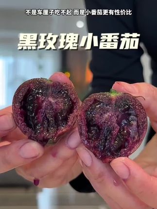 我还是头一次吃这种黑番茄,口感酸甜酸甜的,满满的花青素,吃腻了普通的番茄,这个可以尝尝#黑番茄 #口感特别好  #水果 #快来一起尝个鲜 #新鲜应季水果