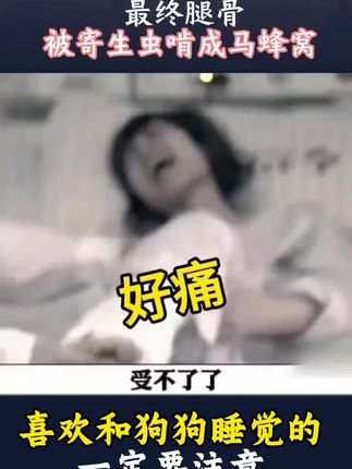 狗狗跟主人睡觉到底脏不脏 狗狗喜欢挨着主人睡,一定要做好这几件事#萌宠 #科学养宠攻略 #萌宠好物#狗狗驱虫#养狗经验分享